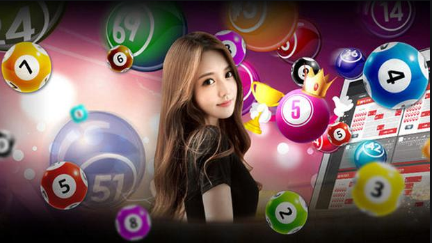 Togel Brunei
, Perfil Do Usuario